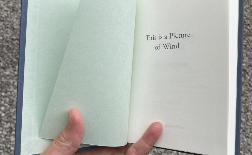 This is a Picture of Wind || J. R. Carpenter