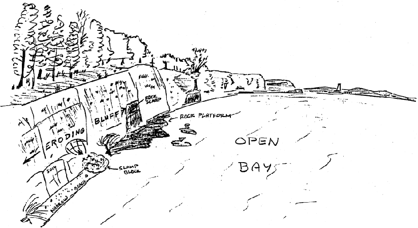 coast_drawn450openbay