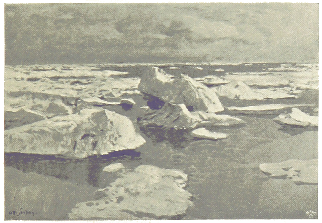 icebergs